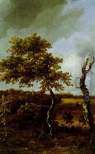 Bewaldete Dunenlandschaft Mit Blick Auf Das Meer Oil Painting - Jacob Van Ruisdael