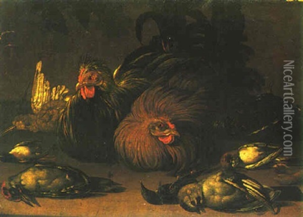 Two Roosters Surrounded By A Woodpecker, A Jay And Other Birds Oil Painting - Jacob van der Kerckhoven