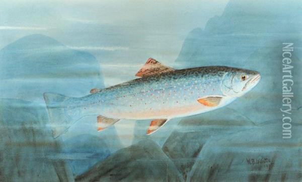 Brook Trout Oil Painting - William B. Gillette