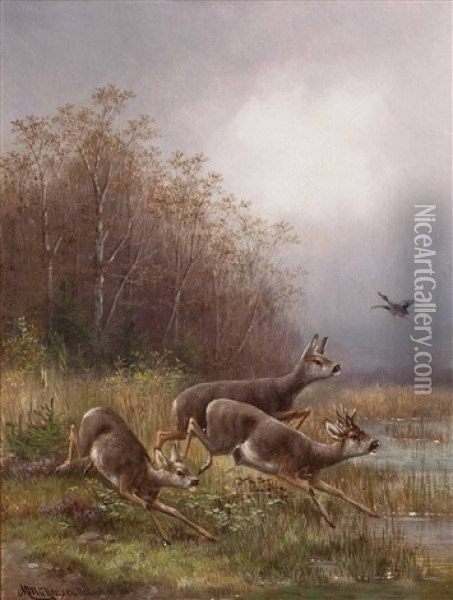 Aufgeschrecktes Rotwild Und Wildente Am Seeufer Oil Painting - Moritz Mueller the Elder