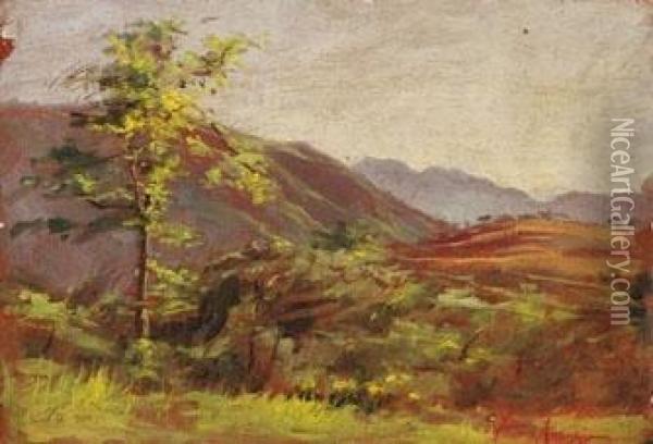 Paesaggio Montano Oil Painting - Vittorio Avanzi