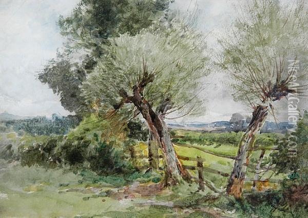 Pollarded Trees Oil Painting - Henry John Sylvester Stannard