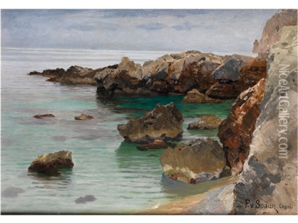 Blick Auf Die Felsenkuste Von Capri Oil Painting - Paul von Spaun