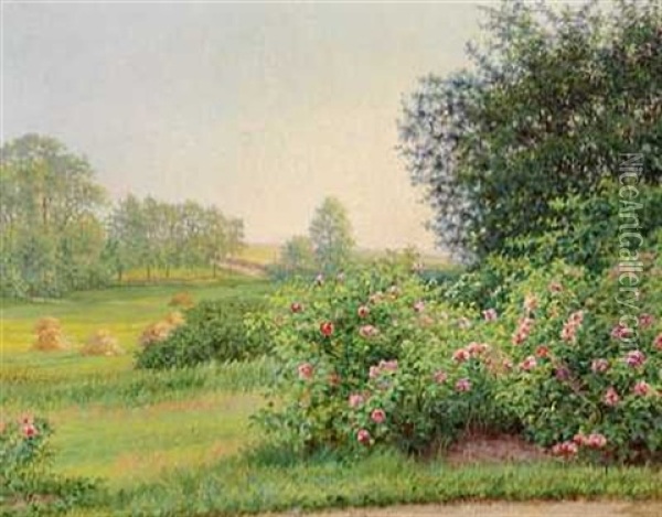 Landskab Med Blomstrende Roser. I Baggrunden Hostakke Oil Painting - Vilhelmine Marie Bang