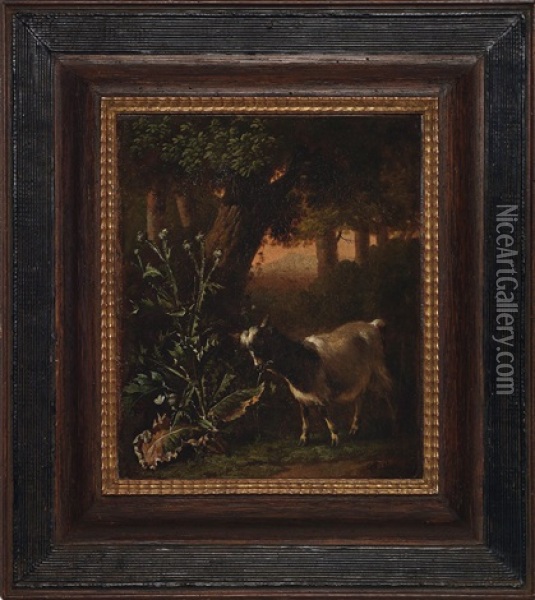 Waldlichtung Mit Distelpflanze Und Ziege Oil Painting - Abraham Jansz. Begeyn