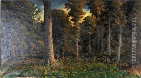 Woodland Interior Oil Painting - W. Livingston Anderson