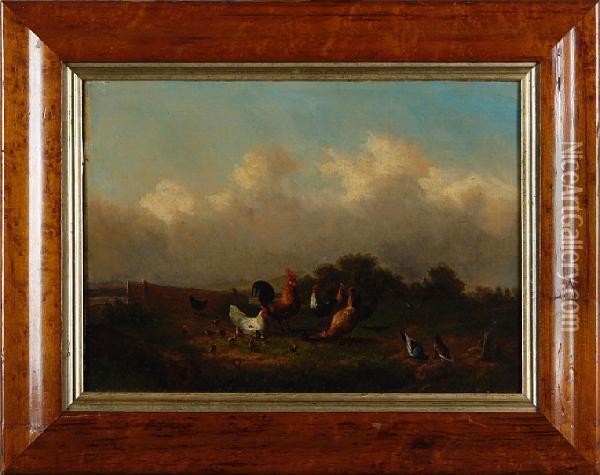 Cockerels, Hens And Chicks In A Field Oil Painting - H Mase