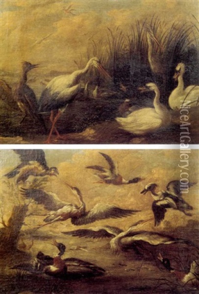 Oiseaux Sauvages Dans Des Paysages Lacustres (pair) Oil Painting - Angelo Maria (Crivellone) Crivelli