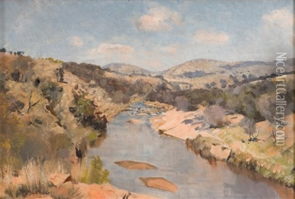 Apies River, North Of Pretoria Oil Painting - Frans David Oerder