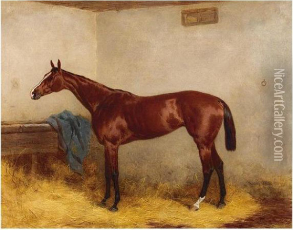 Chopette, A Bay Racehorse In A Stable Oil Painting - Harry Hall