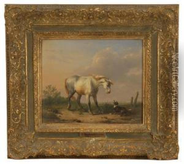 Standoff Between A White Horse And A Barking Dog Oil Painting - Eugene Verboeckhoven