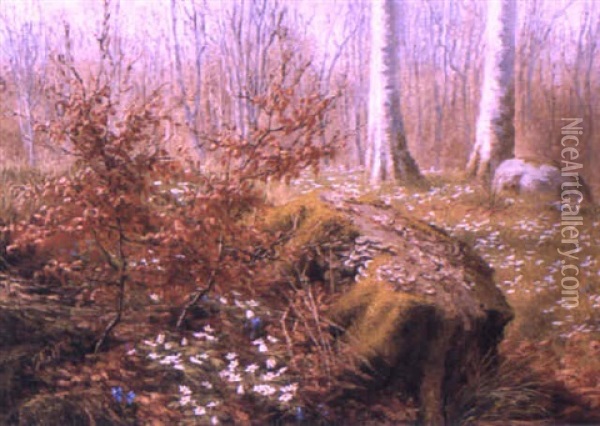 Forest Clearing With Flowers Oil Painting - Anthonie Eleonore (Anthonore) Christensen