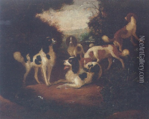 Spaniels In A Woodland Clearing Oil Painting - Adriaen Cornelisz Beeldemaker