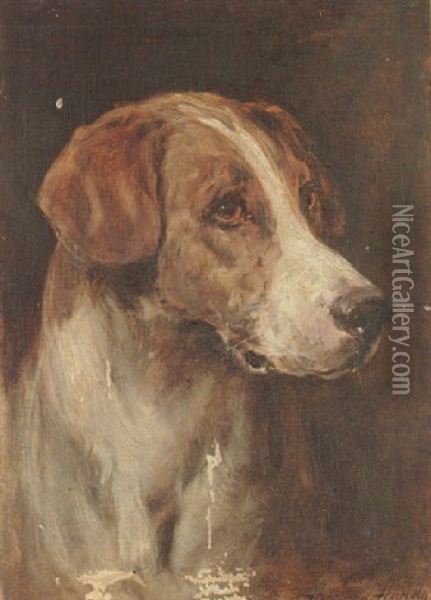 Head Of A Hound Oil Painting - Heywood Hardy