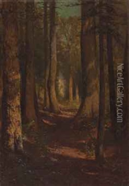 A Tree Lined Path Through The Woods Oil Painting - Thomas Hill