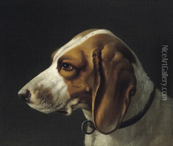 Kopf Eines Vorstehhundes Oil Painting - Wilhelm Reinhardt