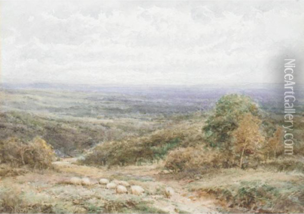 A View In Surrey Oil Painting - Henry John Sylvester Stannard