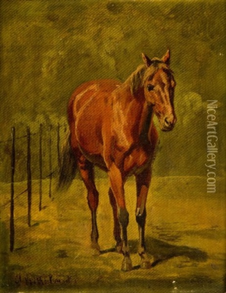 Horse Oil Painting - Arthur Johann Severin Nikutovski