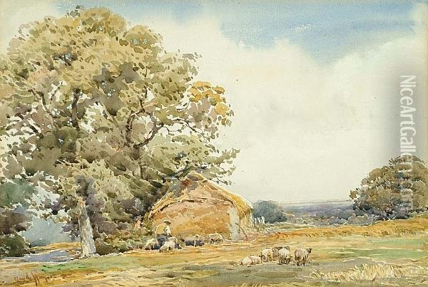 Sheep In A Rural Landscape Oil Painting - Claude Hayes