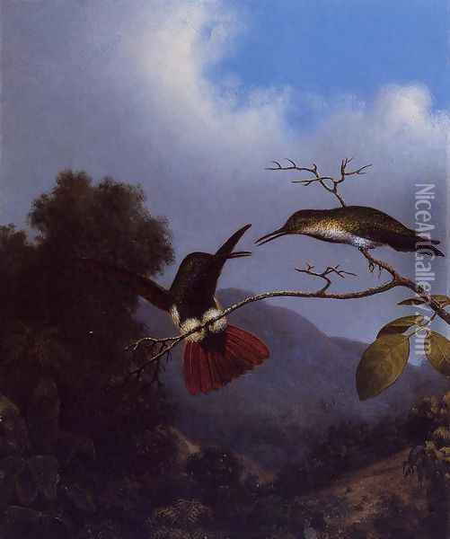 Black Throated Mango Oil Painting - Martin Johnson Heade