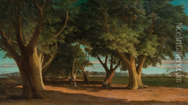 Allee De Choubral/caire Oil Painting - Florent Mols