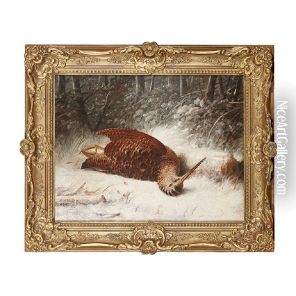 Woodcock In A Winter Landscape (+1 Other; Pair) Oil Painting - Abel Hold