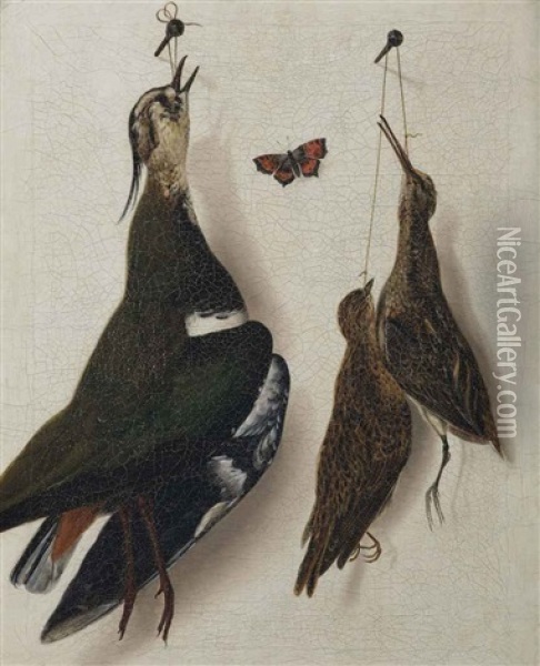 A Plover, A Longbill And A Mistle-thrush Hanging From A Nail, With A Red Butterfly Oil Painting - Albertus Jonas Brandt