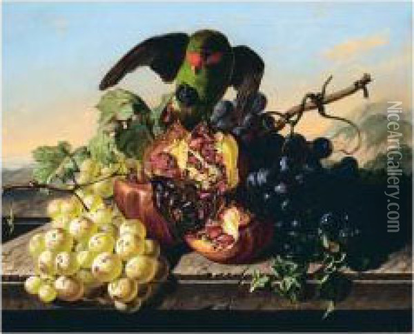 Parrot Stealing Fruit Oil Painting - Antal Jozsef Strohmayer