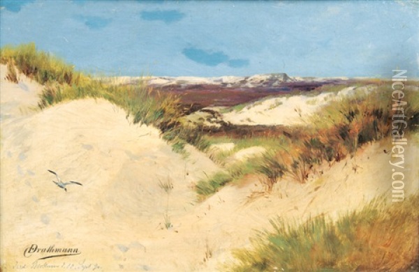 Dunes On Borkum Oil Painting - Christoffer Johann Drathmann