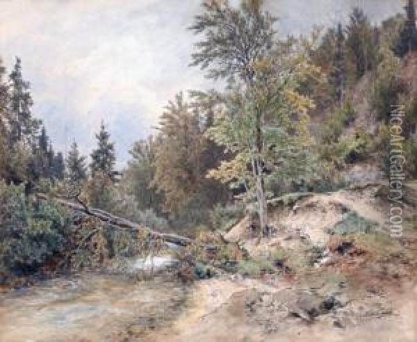 Waldstuck Mit Entwurzeltem Baum Oil Painting - Eduard Peithner Von Lichtenfels