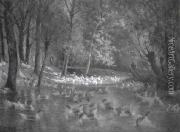 Ducks On A Sunlit Pond Oil Painting - Armand Guery