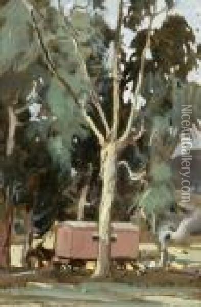 Eucalyptus Tree Oil Painting - Carl Oscar Borg