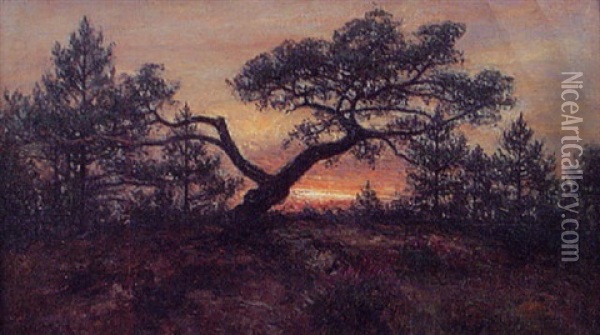 Skogsdunge I Solnedgang Oil Painting - Johan Severin Nilsson