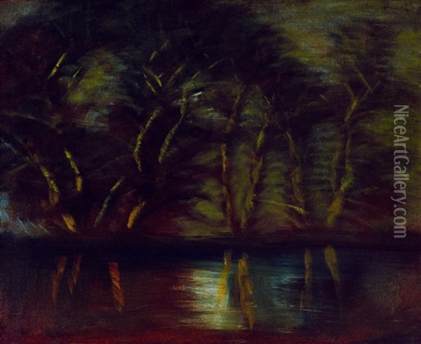 Fancy Lights By The River Oil Painting - Laszlo Mednyanszky