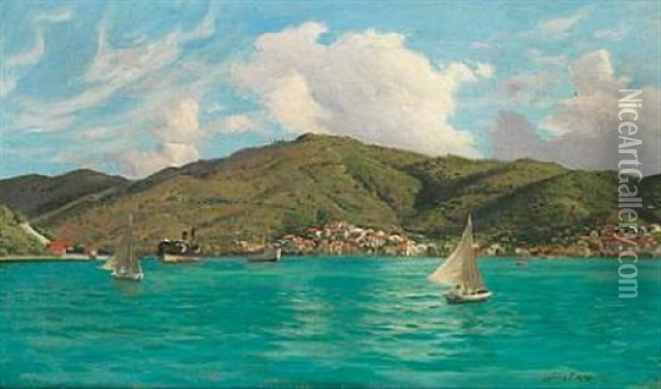 View From St. Thomas The Danish West Indies Oil Painting - Andreas Christian Riis Carstensen