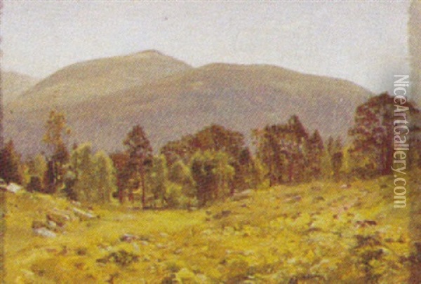 Bjerglandskab Oil Painting - Janus la Cour