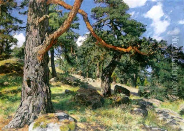 Skargardslandskap Med Tallar Oil Painting - Gottfried Kallstenius