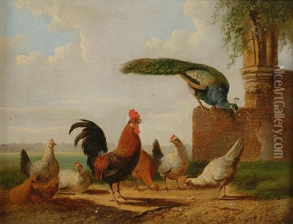 A Cock, Hens And A Peacock Beside A Ruin Oil Painting - Albertus Verhoesen