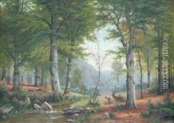 Ciervos En El Bosque Oil Painting - Jacobus Johannes Van Poorten