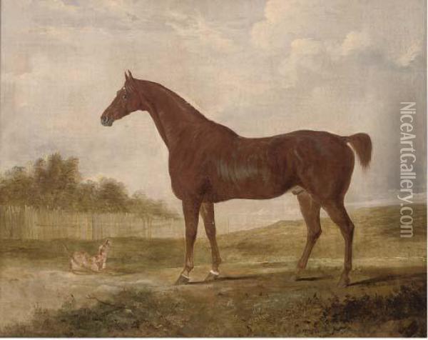 A Chestnut Hunter And A Terrier In An Extensive Landscape Oil Painting - Edwin, Beccles Of Cooper