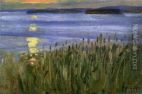 Strandvass Oil Painting - Akseli Valdemar Gallen-Kallela