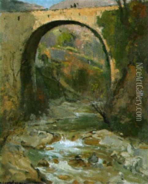 Le Pont De Millau Oil Painting - Louis Marie Desire-Lucas