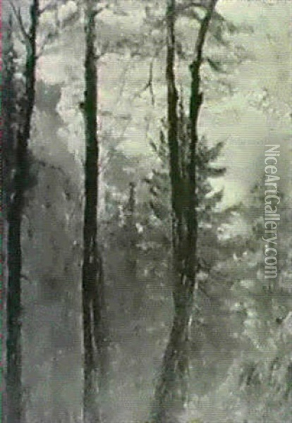 Through The Trees Oil Painting - Hal Robinson