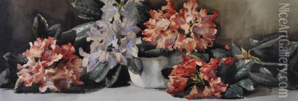 Still Life Studyrhododendrons Oil Painting - Arthur Dudley