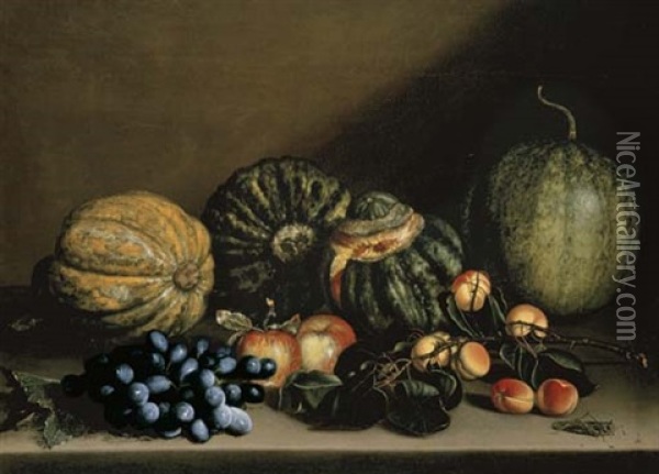 Melons, Apricots, Grapes And Apples On A Stone Ledge Oil Painting -  Caravaggio