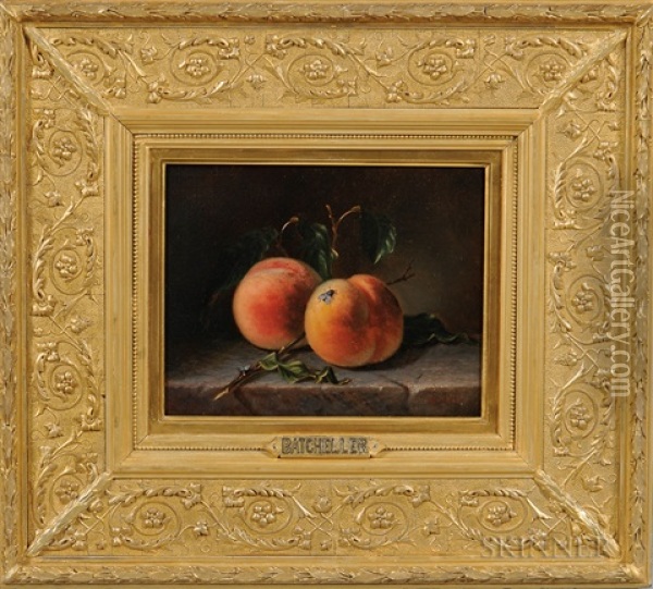 Two Peaches And A Fly Oil Painting - Frederick S. Batcheller