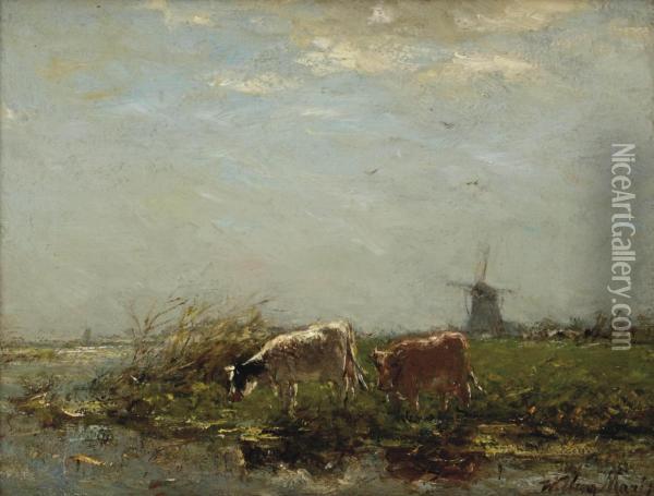 Cows Near The Waterfront Oil Painting - Willem Maris