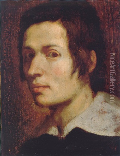 Portrait Of A Young Man Wearing A Black Tunic And A White Collar Oil Painting - Ludovico Carracci