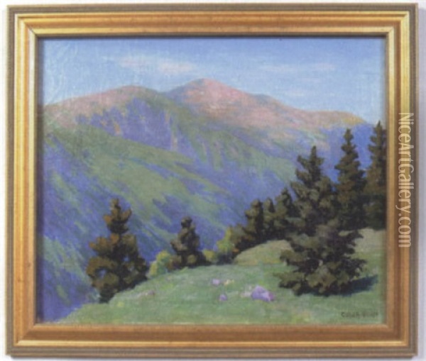 Summer In The Mountains Oil Painting - Colin Alexander Scott