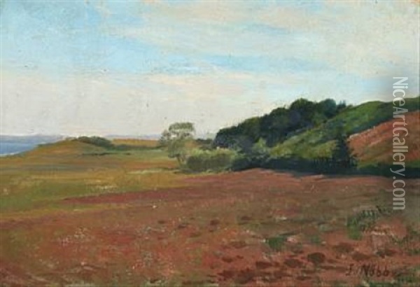 Landscape (flensburg Fjord) Oil Painting - Jacob Nobbe